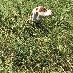 Meet your Posher, Mason